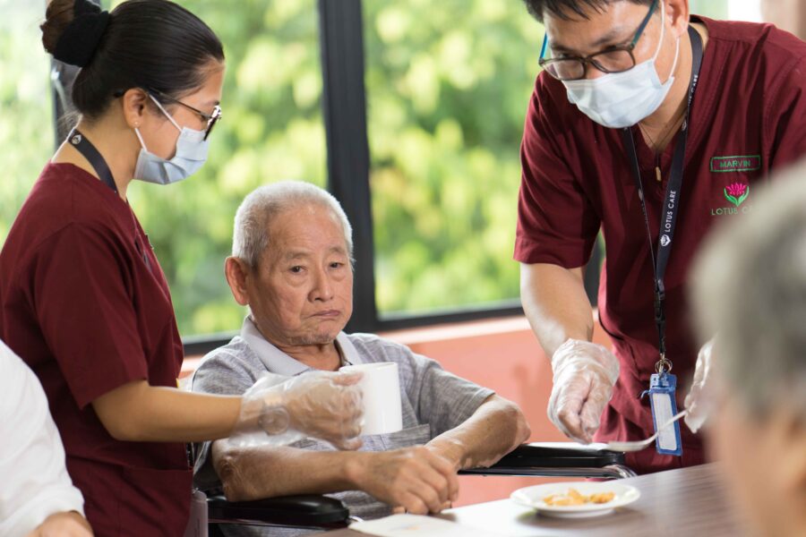 Healthcare - Lotus Group