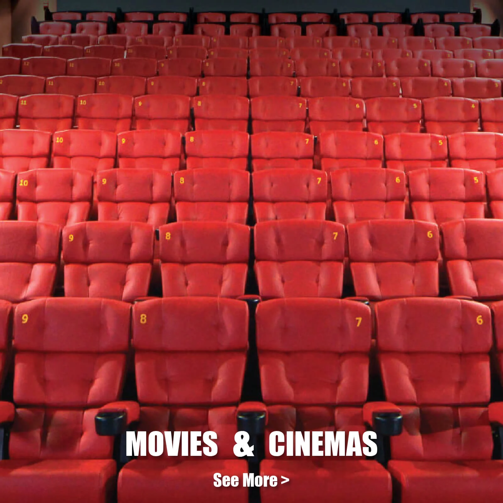 Movies and Cinemas Image - Our Businesses Section - Homepage